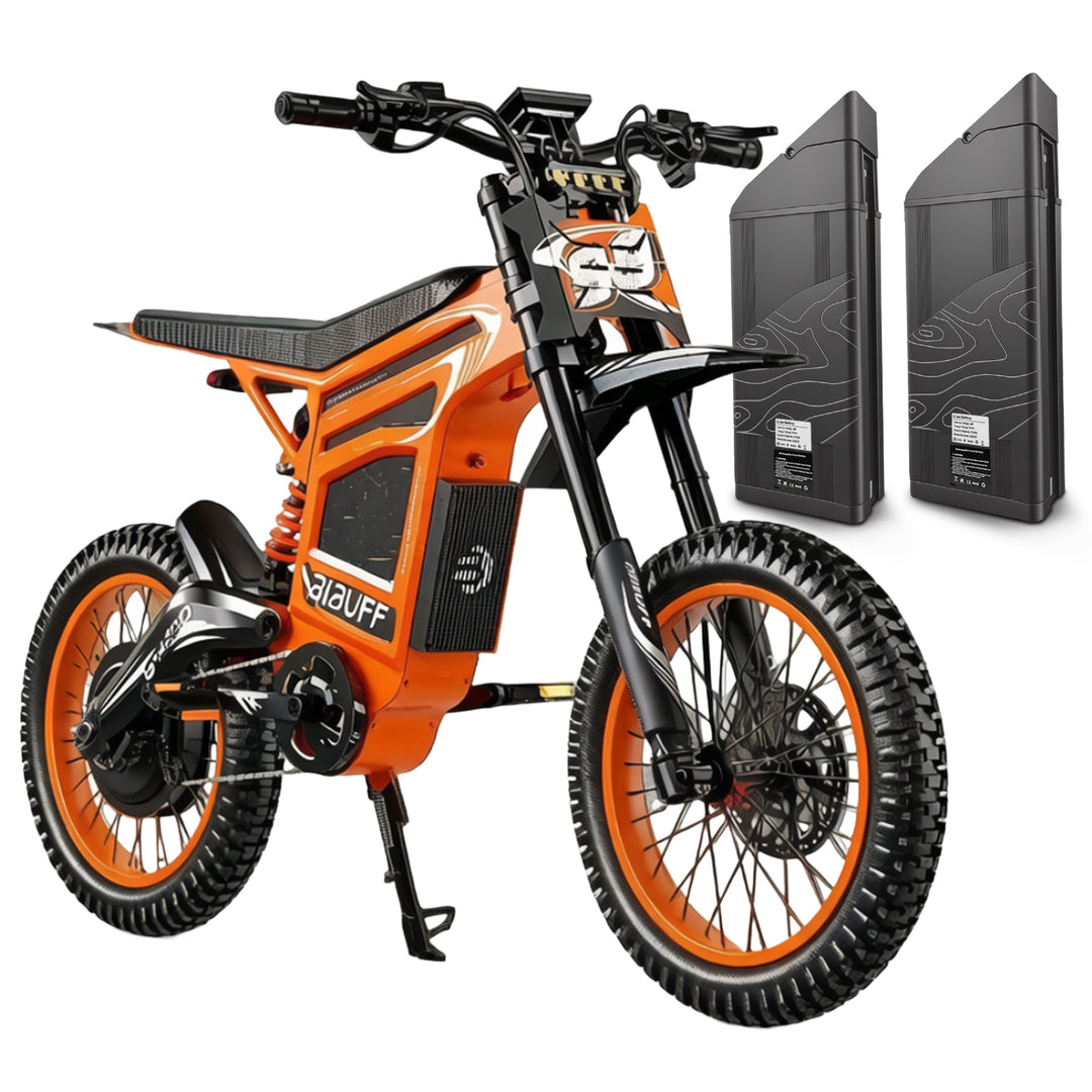 BIBUFF GT600 High-Performance Electric Dirt Bike