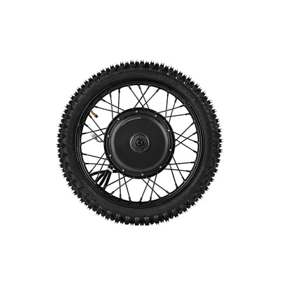 GT600  Rear Wheel Motor