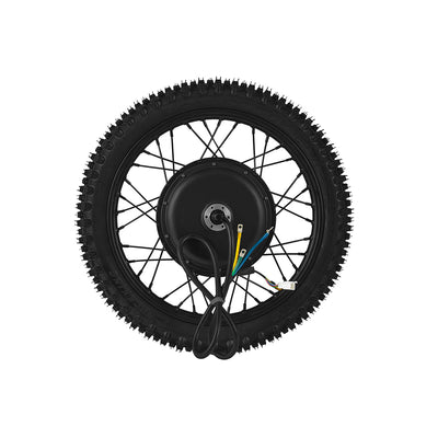 GT600  Rear Wheel Motor