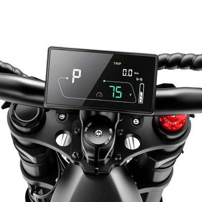 BIBUFF GT600 High-Performance Electric Dirt Bike
